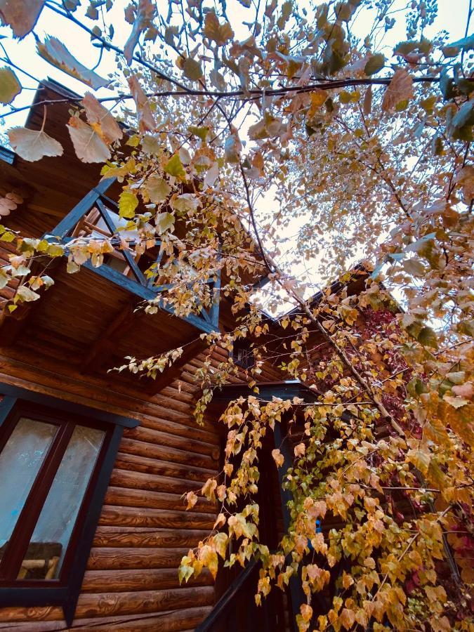 Boutigue Hotel Nebesa Chimgan المظهر الخارجي الصورة
